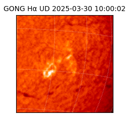 gong - 2025-03-30T10:00:02