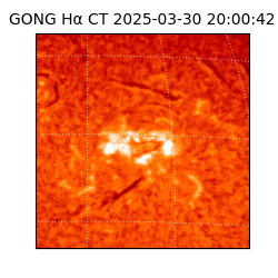 gong - 2025-03-30T20:00:42