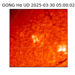 gong - 2025-03-30T05:00:02