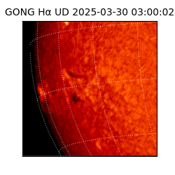 gong - 2025-03-30T03:00:02