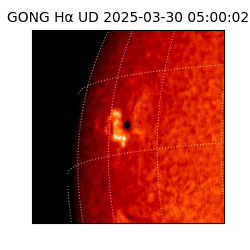 gong - 2025-03-30T05:00:02