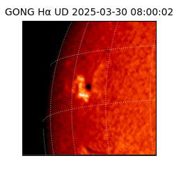 gong - 2025-03-30T08:00:02