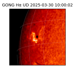 gong - 2025-03-30T10:00:02