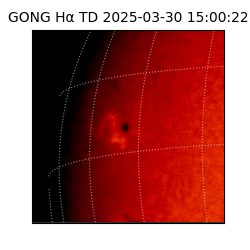 gong - 2025-03-30T15:00:22