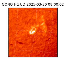 gong - 2025-03-30T08:00:02