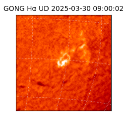 gong - 2025-03-30T09:00:02