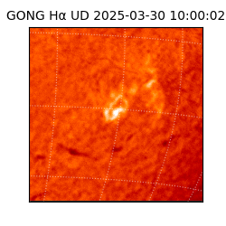 gong - 2025-03-30T10:00:02