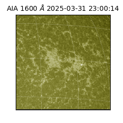 saia - 2025-03-31T23:00:14.129000