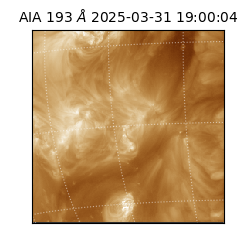 saia - 2025-03-31T19:00:04.843000