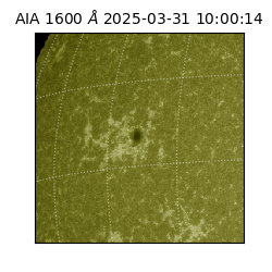 saia - 2025-03-31T10:00:14.129000