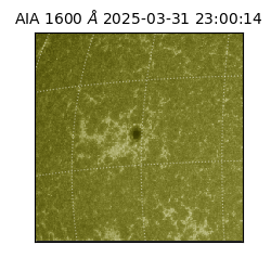 saia - 2025-03-31T23:00:14.129000