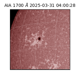 saia - 2025-03-31T04:00:28.717000