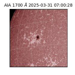 saia - 2025-03-31T07:00:28.733000