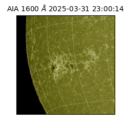 saia - 2025-03-31T23:00:14.129000