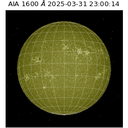 saia - 2025-03-31T23:00:14.129000