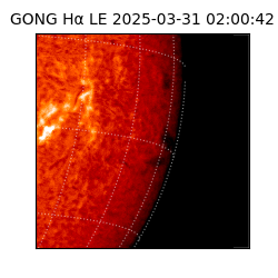 gong - 2025-03-31T02:00:42
