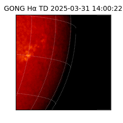gong - 2025-03-31T14:00:22