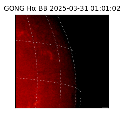 gong - 2025-03-31T01:01:02