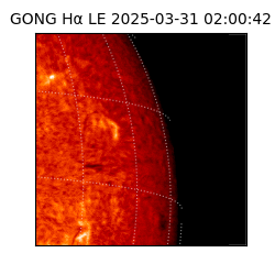 gong - 2025-03-31T02:00:42