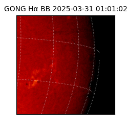 gong - 2025-03-31T01:01:02