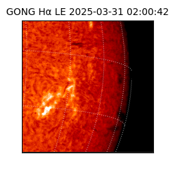 gong - 2025-03-31T02:00:42
