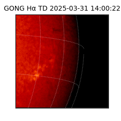 gong - 2025-03-31T14:00:22