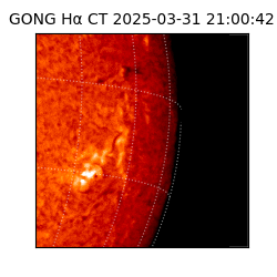 gong - 2025-03-31T21:00:42