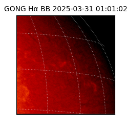 gong - 2025-03-31T01:01:02