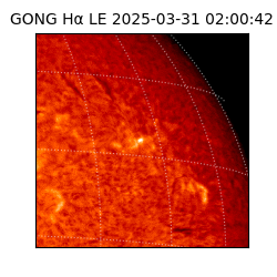 gong - 2025-03-31T02:00:42