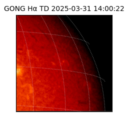 gong - 2025-03-31T14:00:22