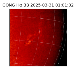 gong - 2025-03-31T01:01:02