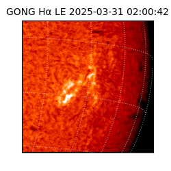 gong - 2025-03-31T02:00:42