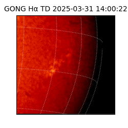 gong - 2025-03-31T14:00:22