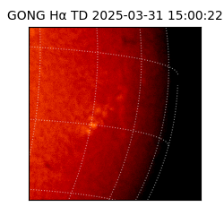 gong - 2025-03-31T15:00:22