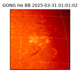 gong - 2025-03-31T01:01:02