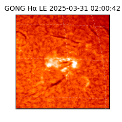 gong - 2025-03-31T02:00:42