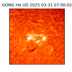 gong - 2025-03-31T07:00:02