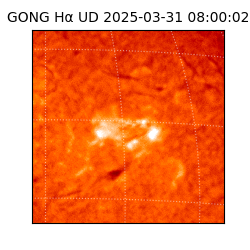 gong - 2025-03-31T08:00:02