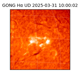 gong - 2025-03-31T10:00:02
