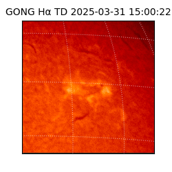 gong - 2025-03-31T15:00:22