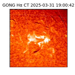 gong - 2025-03-31T19:00:42