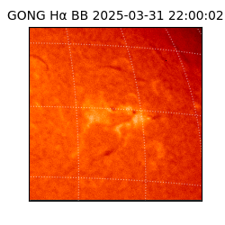 gong - 2025-03-31T22:00:02