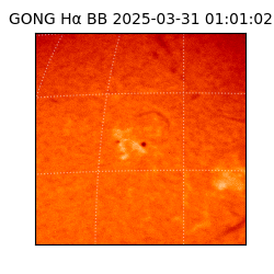 gong - 2025-03-31T01:01:02