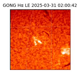 gong - 2025-03-31T02:00:42