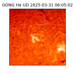 gong - 2025-03-31T06:05:02