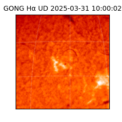 gong - 2025-03-31T10:00:02