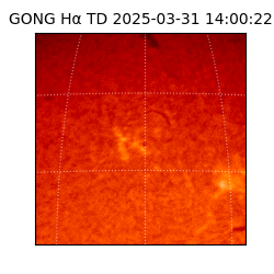 gong - 2025-03-31T14:00:22