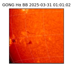 gong - 2025-03-31T01:01:02