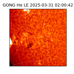 gong - 2025-03-31T02:00:42