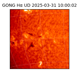 gong - 2025-03-31T10:00:02